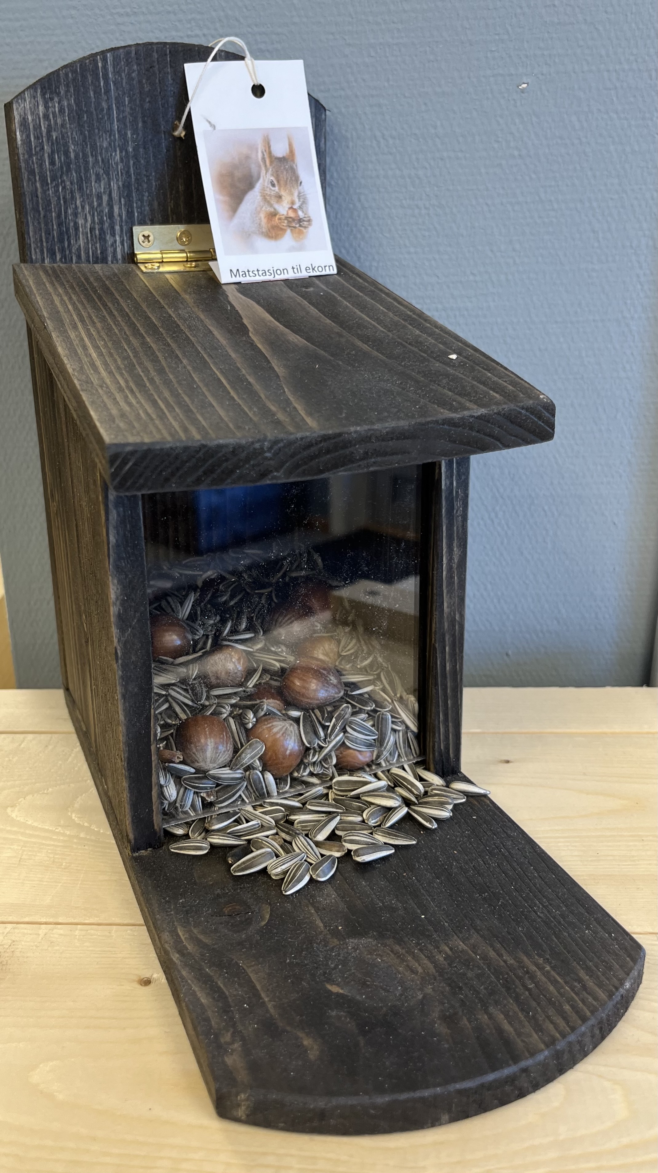 Bilde av ekornmatar forfra